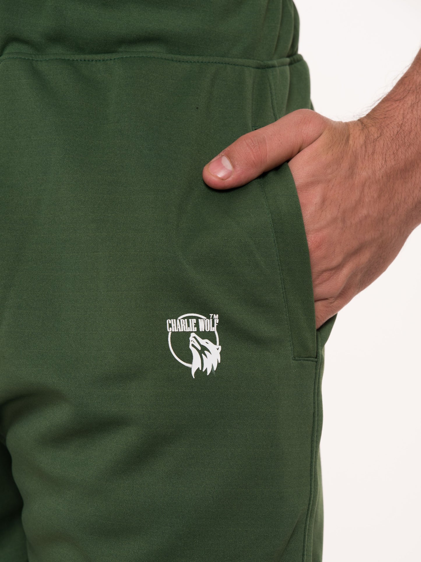 Stretchable gym joggers for men – sweat-wicking fabric