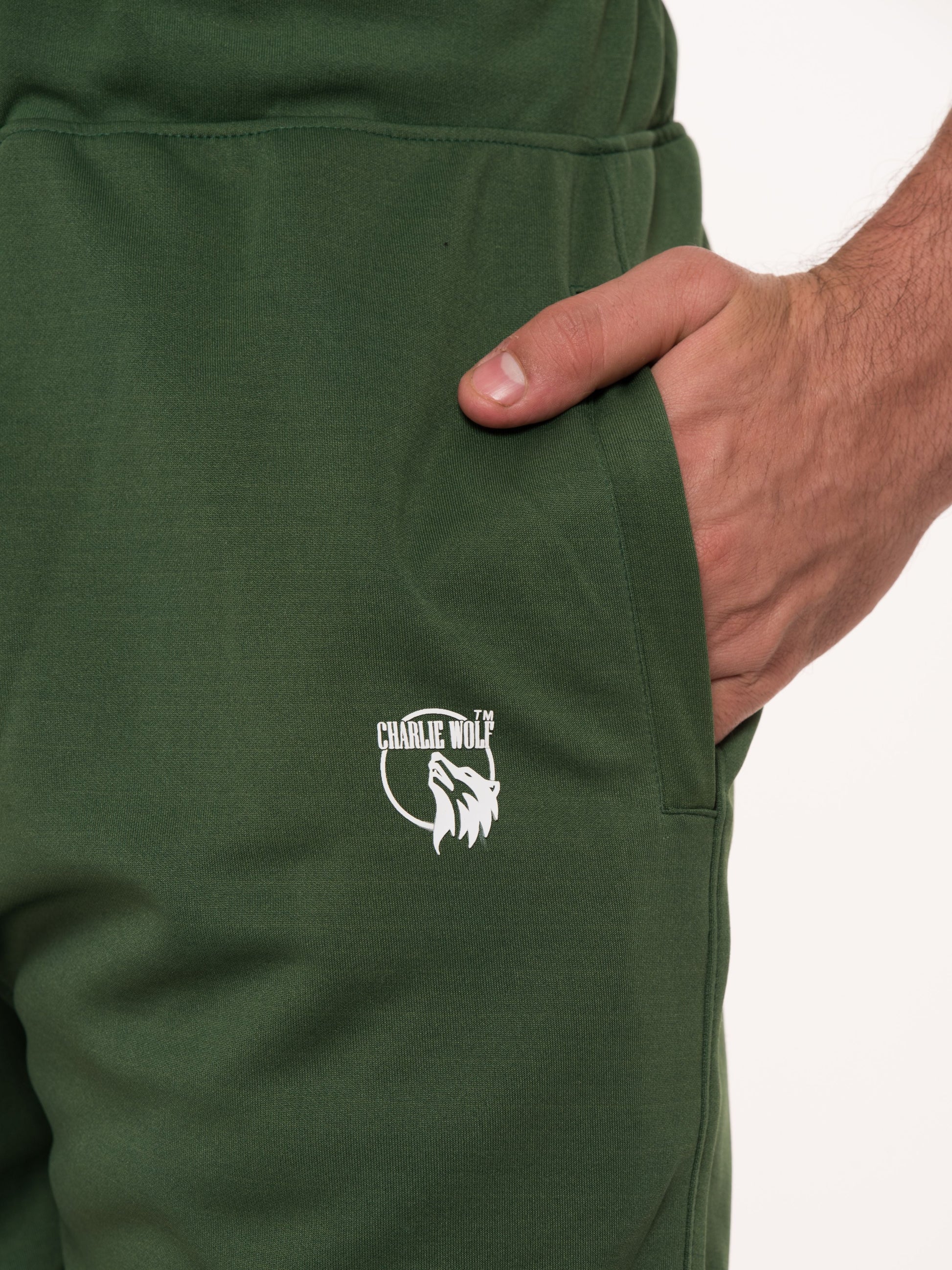 Stretchable gym joggers for men – sweat-wicking fabric